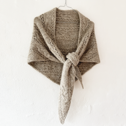 Lacy Braid Shawl
